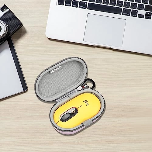 Carrying Case - Wireless