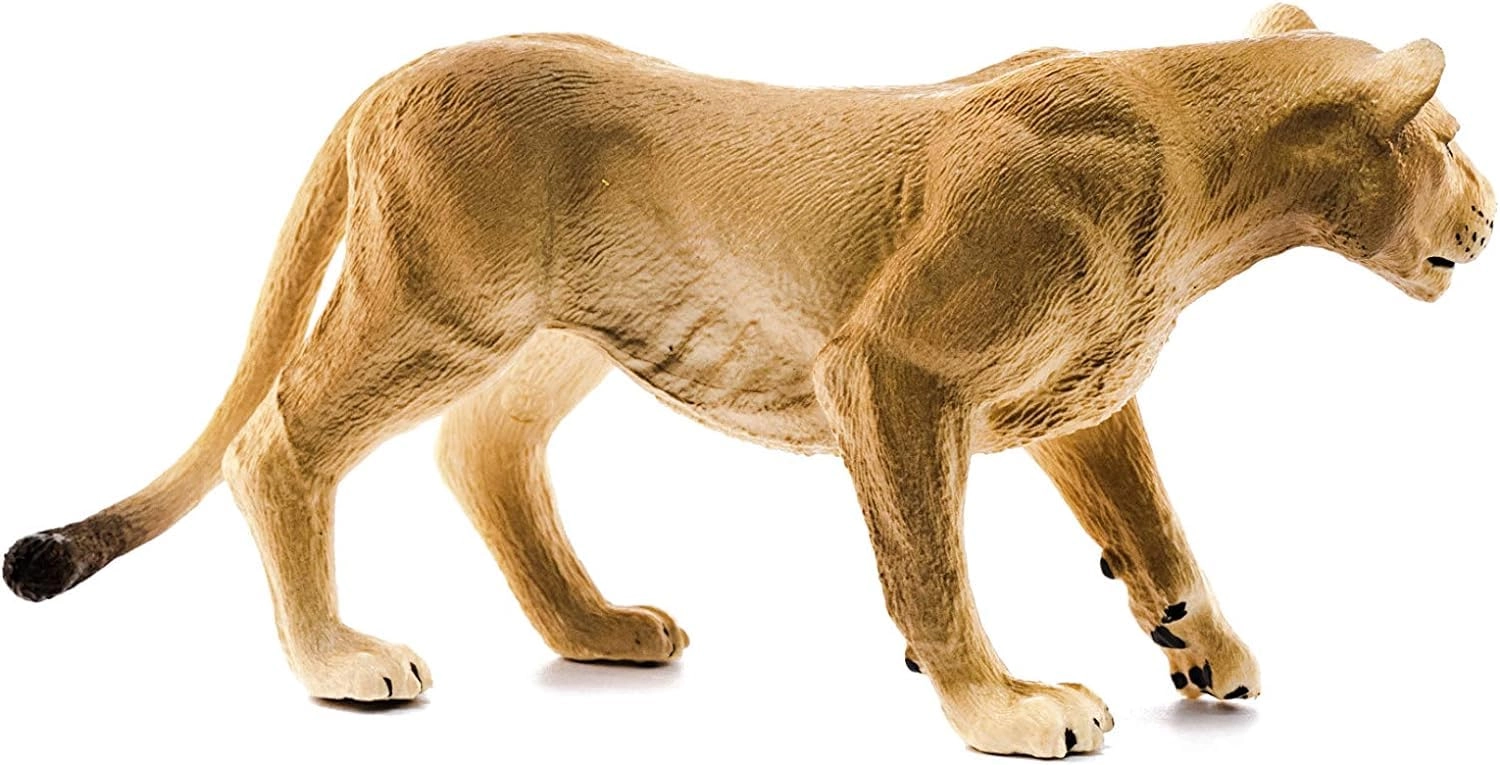 Lioness - 3 years and up Animal 1
