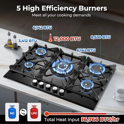 PG001-305G GAS Cooker