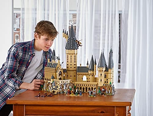 Harry Potter Hogwarts Castle (71043)
