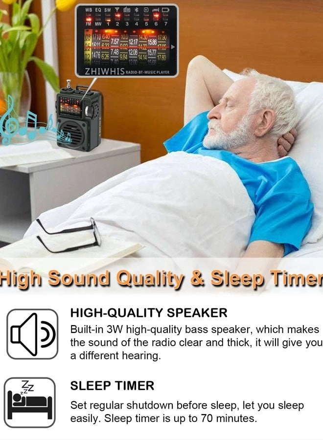 ZWS-700 - Shortwave Radio