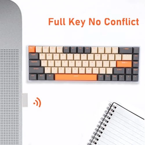 5oep3mqw6h - Wired/Wireless