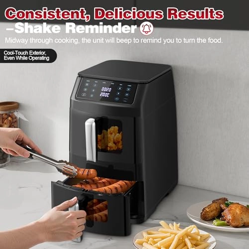Dual Air Fryer AF1102