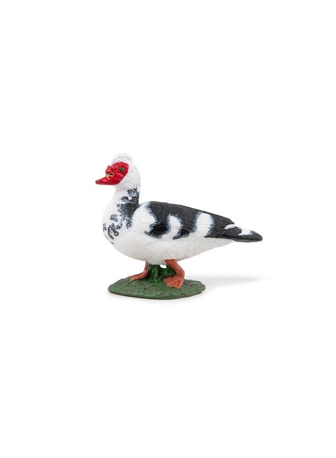 Papo Farm - Domestic Muscovy Duck (51189)