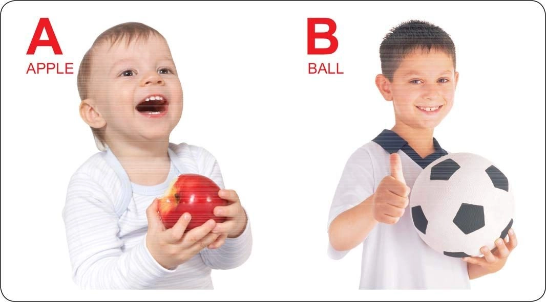 Lovely - Numbers, Fruit, Vegetables, Vehicles, Colors, Animals, Birds, Toys & Foods Board Book - 1 years+