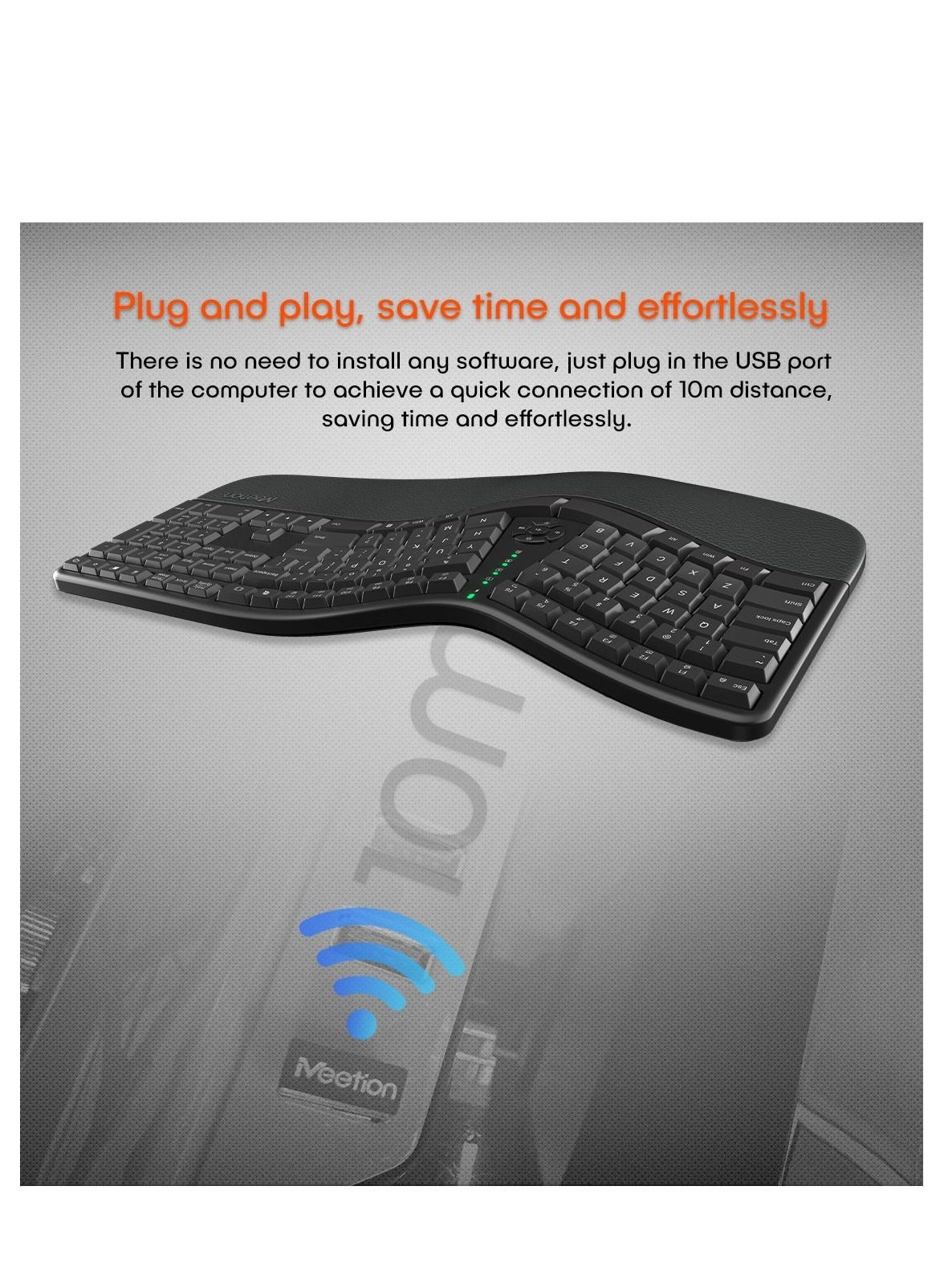 DirectorW - Wired/Wireless