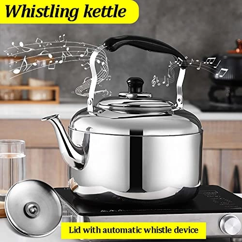 Stovetop Induction Whistling Kettle - 5L