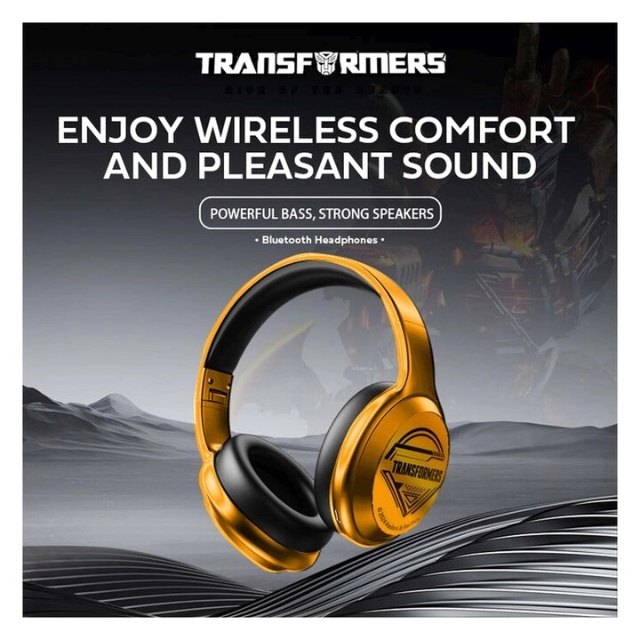 TFG06 - Bumble Bee Transformers