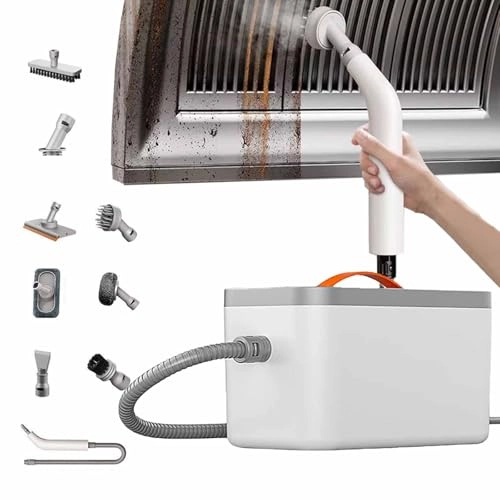 Steam Cleaner - 650ml