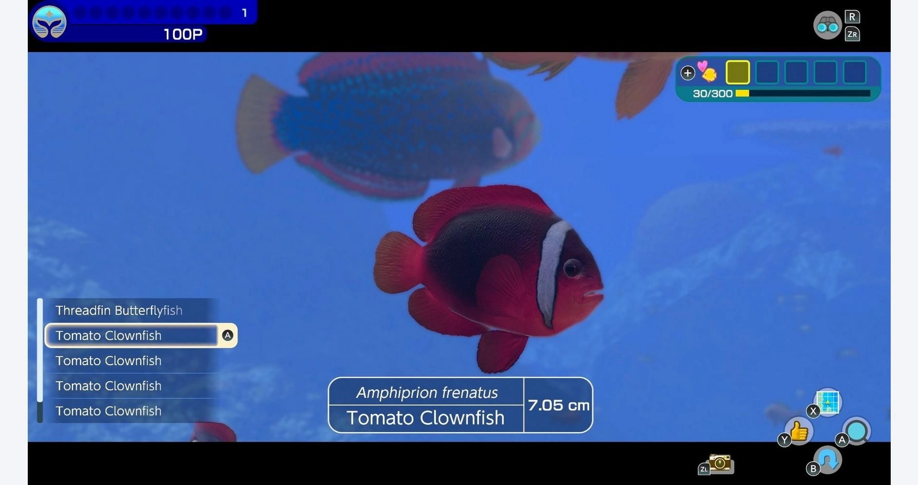 Endless Ocean Luminous - Nintendo Switch