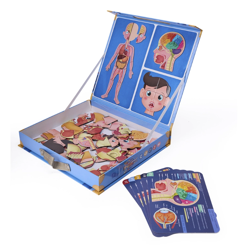 Human Body Magnetic Puzzle - 7+ 100 pieces