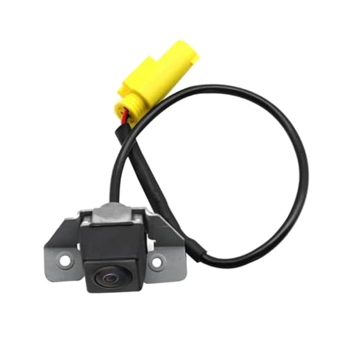 Reversing Camera - Night vision