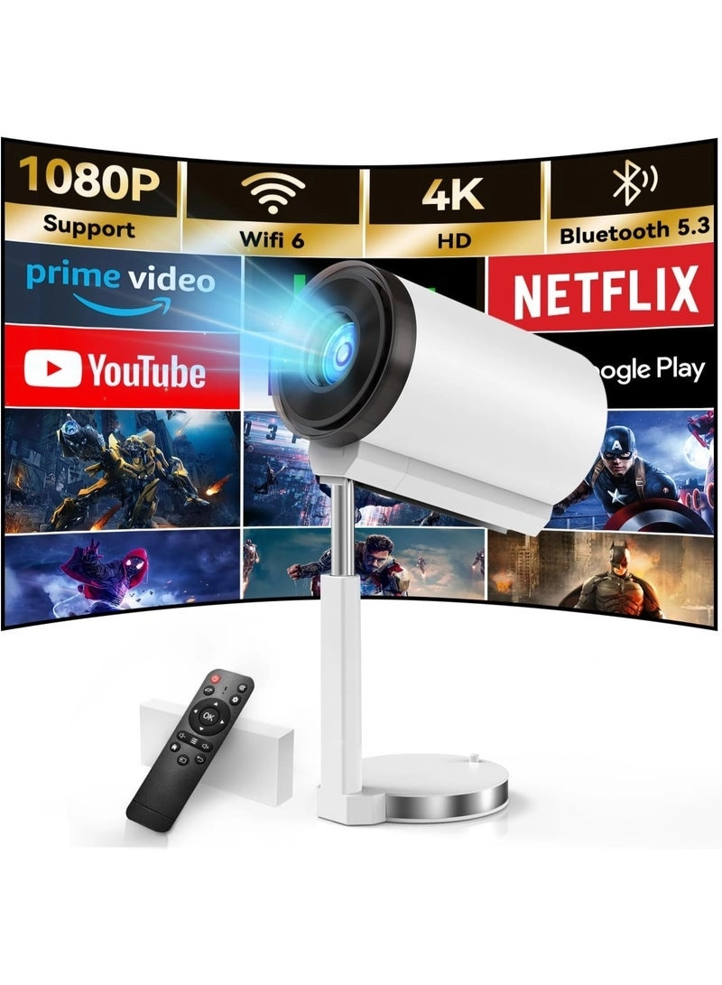 HT20 250 ANSI Lumens