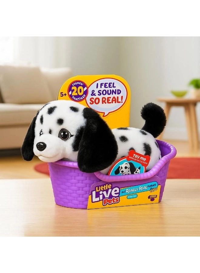 My Really Real Mini Puppy Buddy - 5 years and above