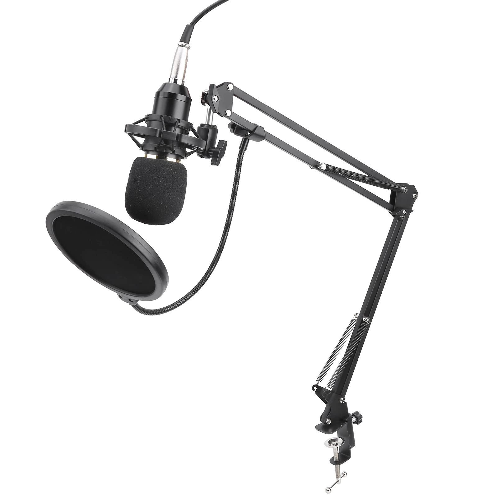V9 + BM-800 USB Microphone