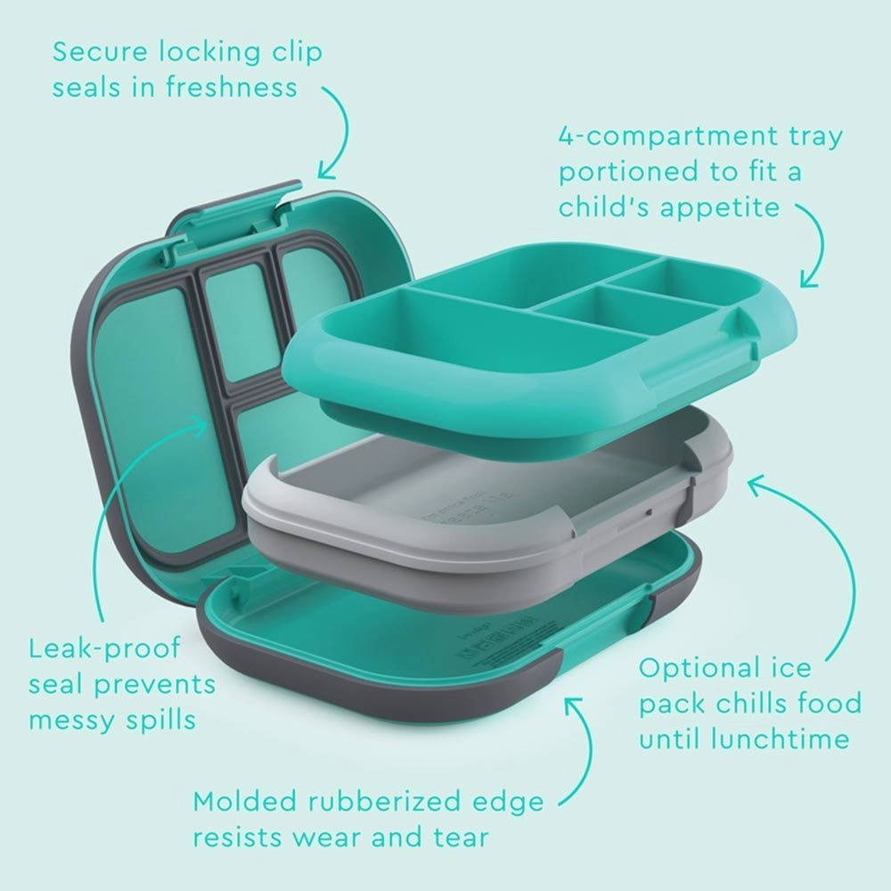 Kids Chill Lunch Box - Green four compartments