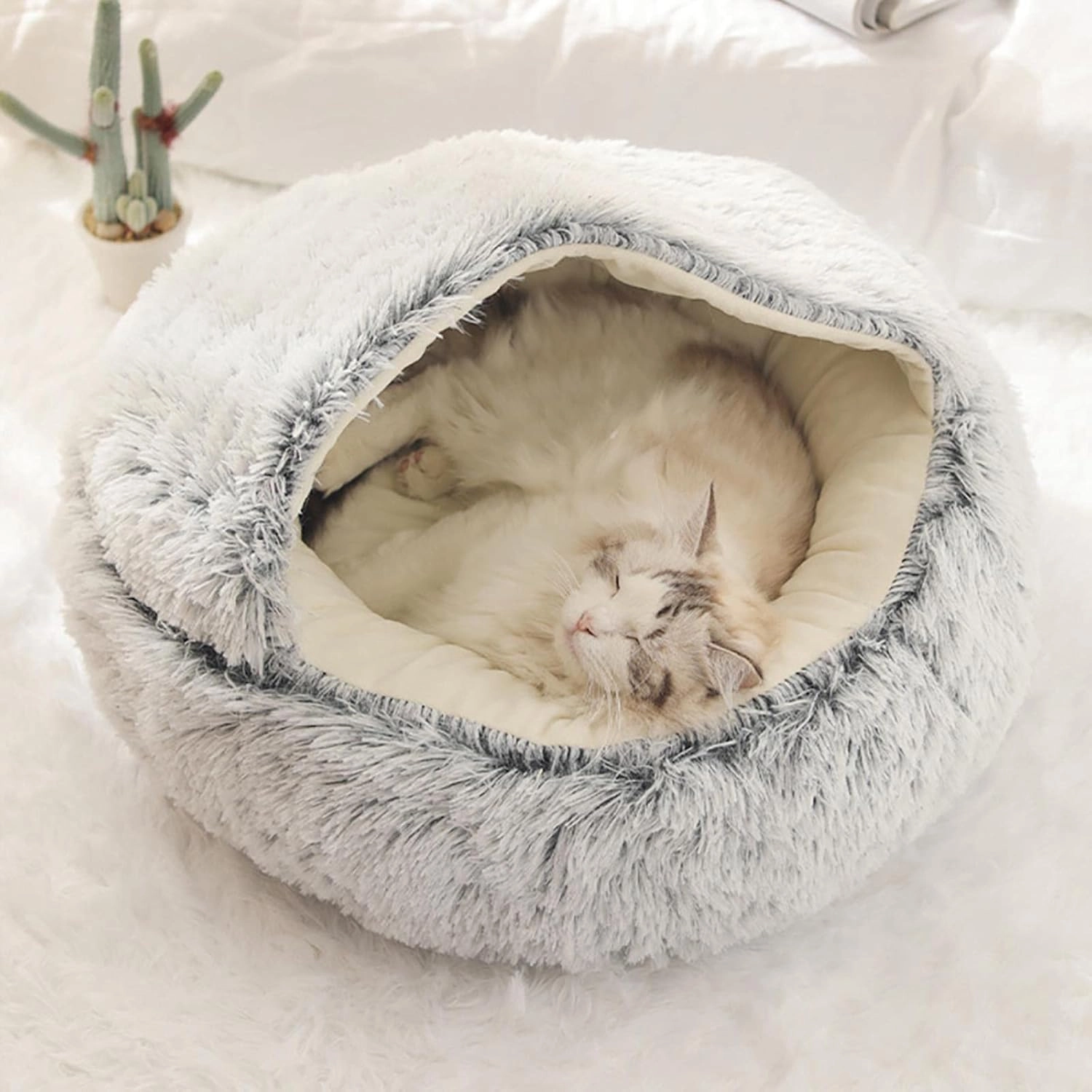 Velor Round Plush Dog Bed - 50 x 15cm