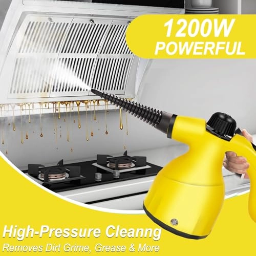 Hand Held Steam Cleaner