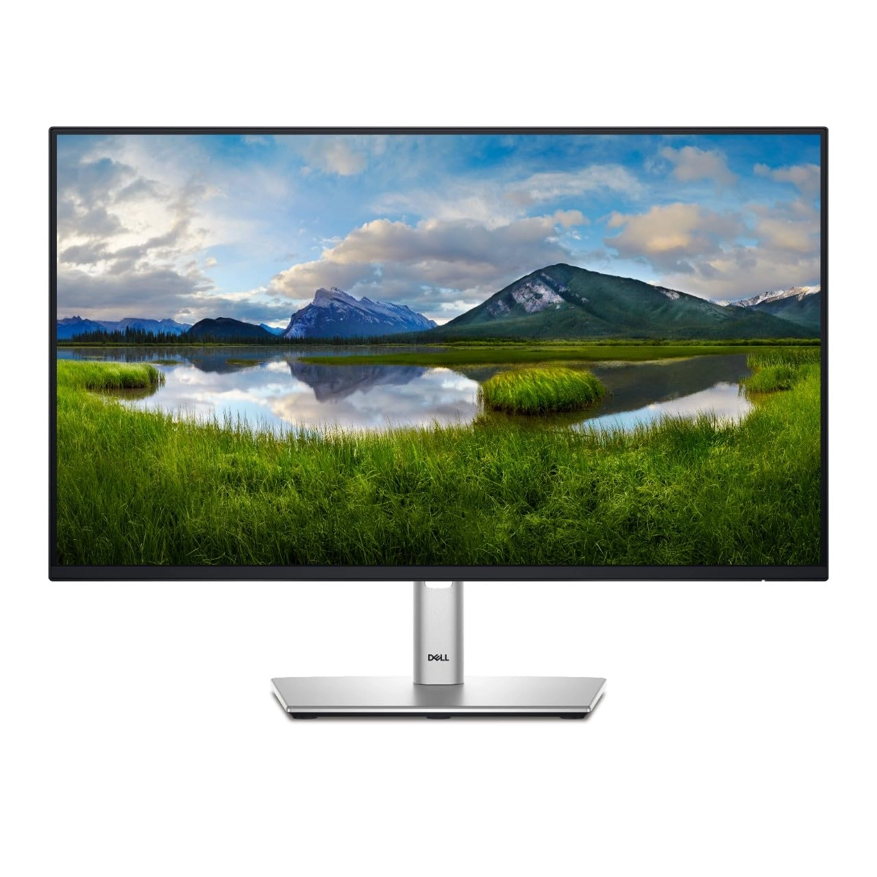 P2425H - 24 inch 1080x1920 pixels
