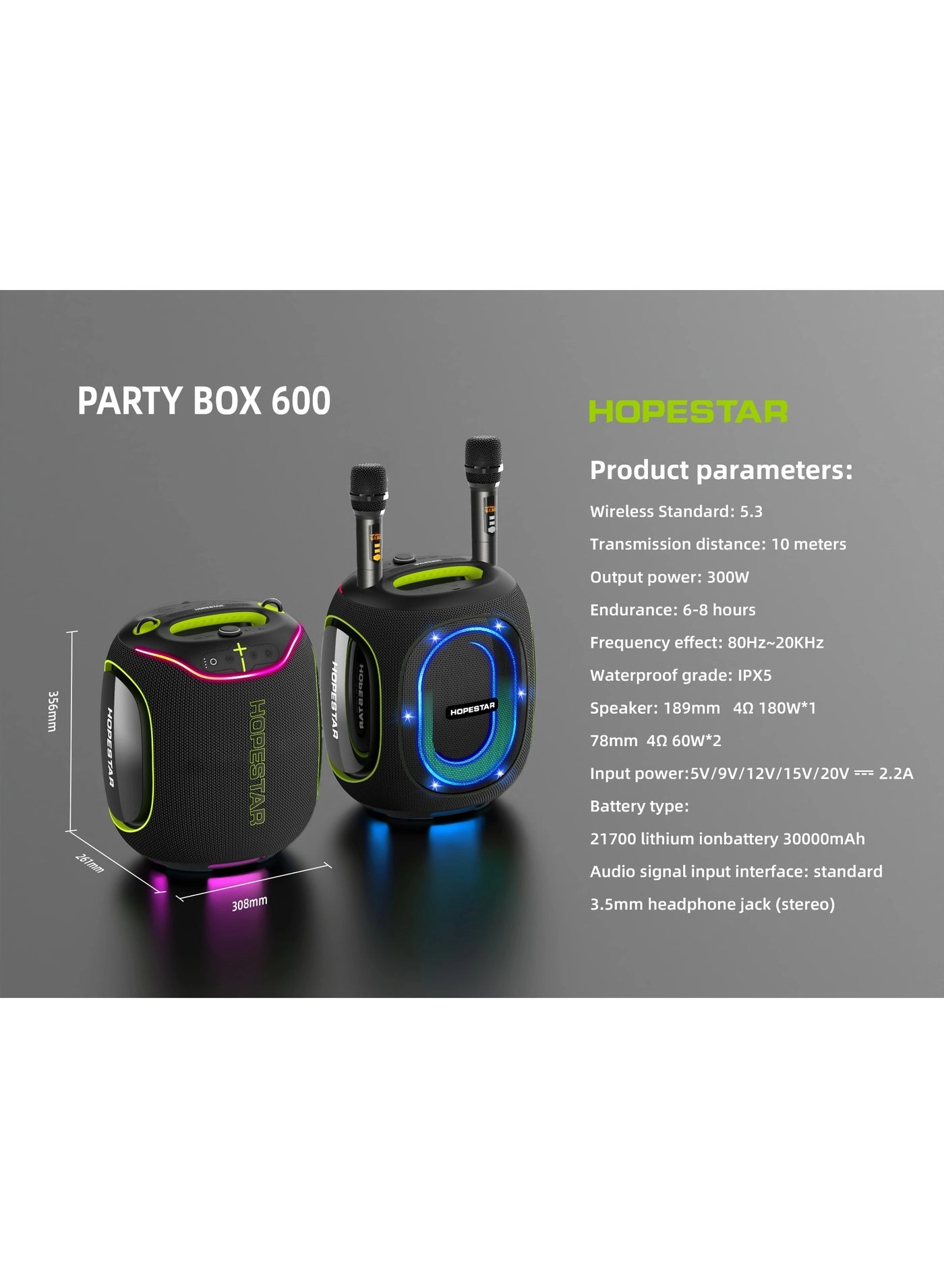 Party Box 600 - 300W