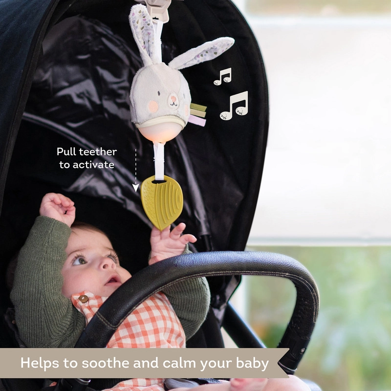 Bunny Take Along Toy - 0 month