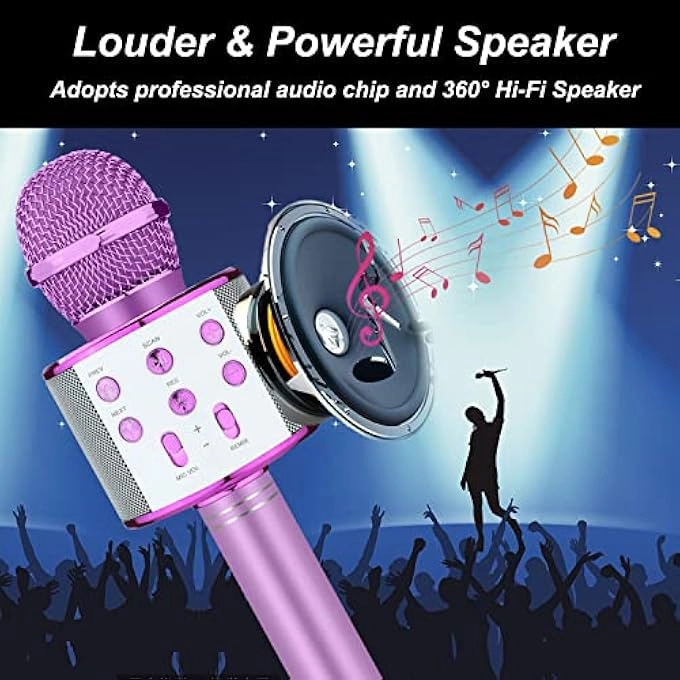 rayihni Karaoke Microphone Pack