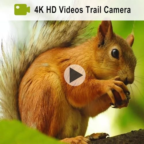 LY590-D4K - 45 megapixel