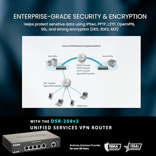 DSR-250V2 - 31Gbps