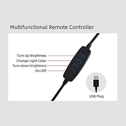 LED Ring Light - 10 Inch