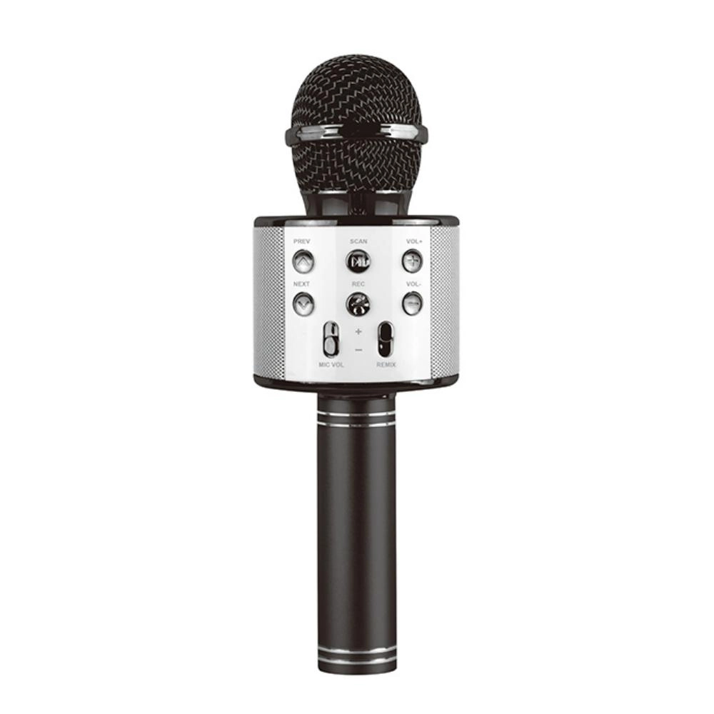 Karaoke Microphone - Suitable for 3 years and above