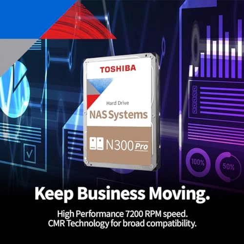 N300 PRO 24-Bay 12TB
