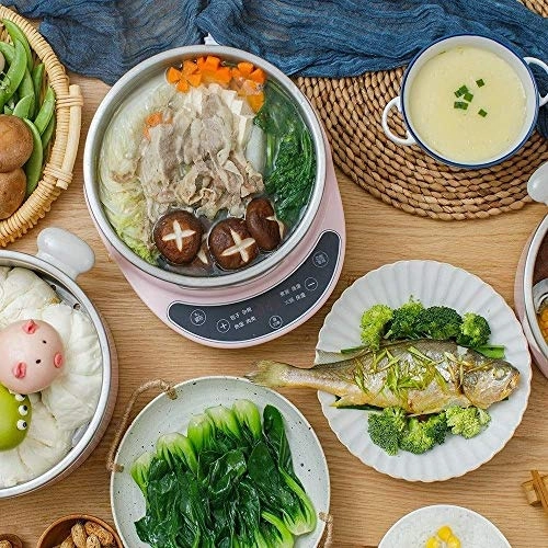 Multi-function electric steamer - 4 Liters