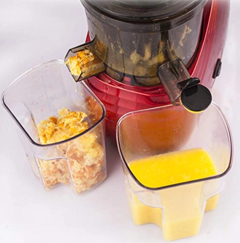 Portable Vertical Cold-Pressed Juicer