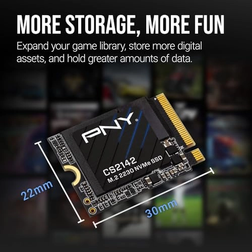 CS2142 - 500GB M.2 2230