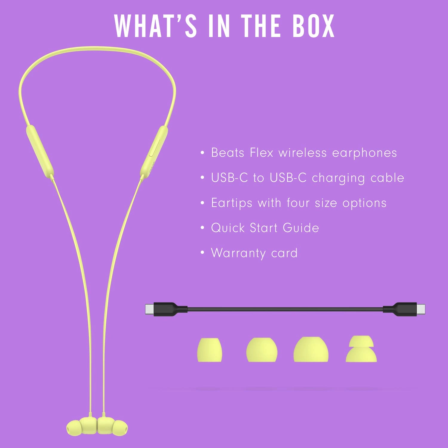 Flex Wireless Earphones