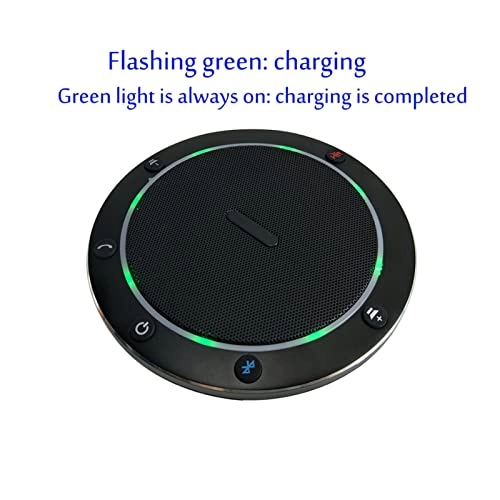 UBIAIEPDW USB+Wireless Microphone