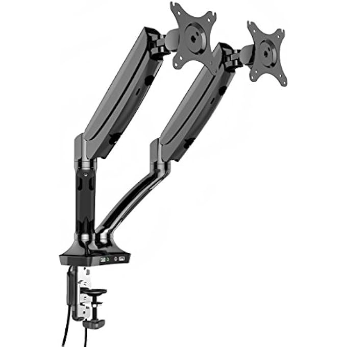 rayihni GAS SPRING DESK MOUNT - TWIN ARM 27''
