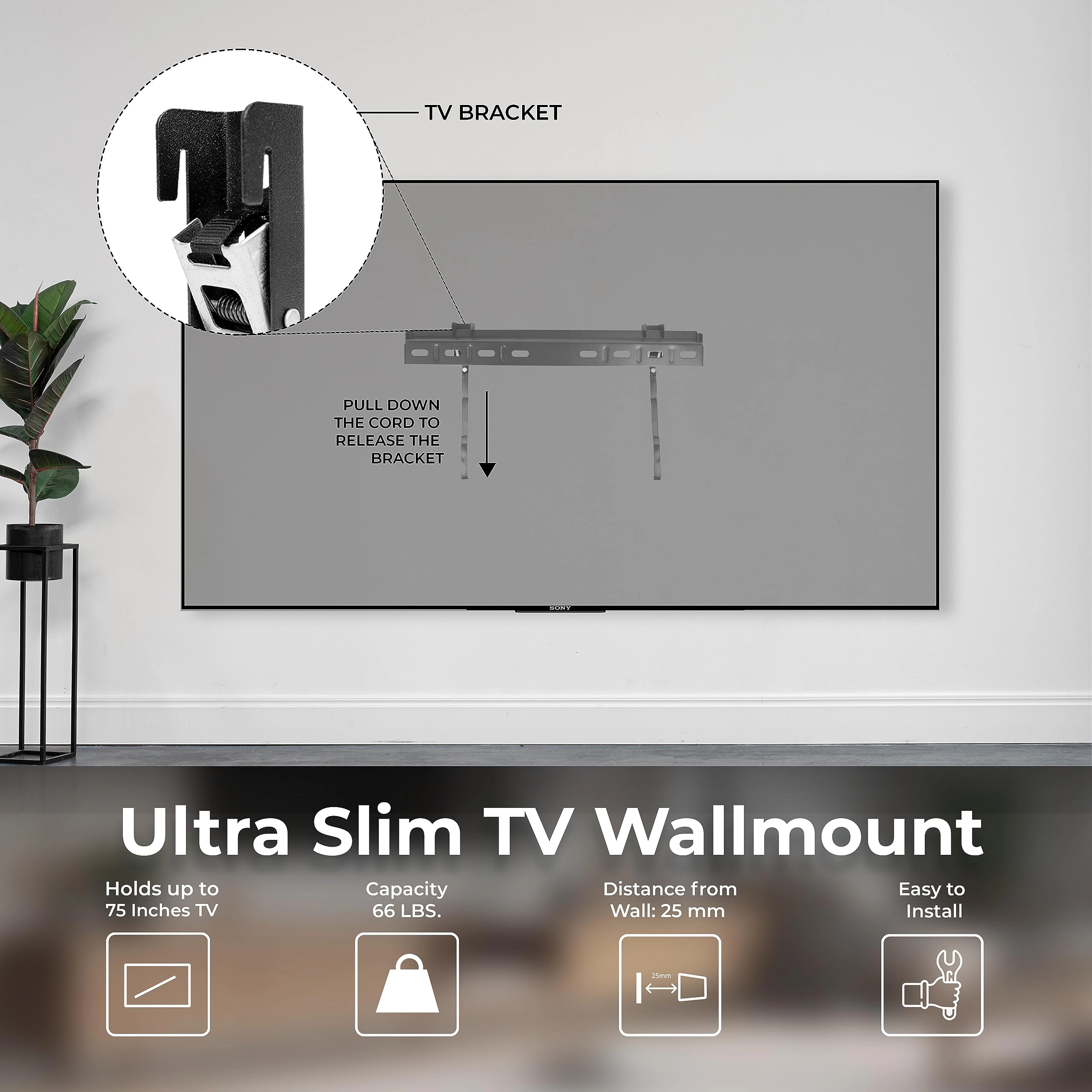 (Renewed) WALL65 - 65 Inch