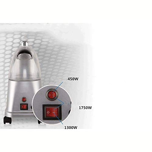 FBZQJH89-CF0884 - clothes steamer 1750W 2.4L