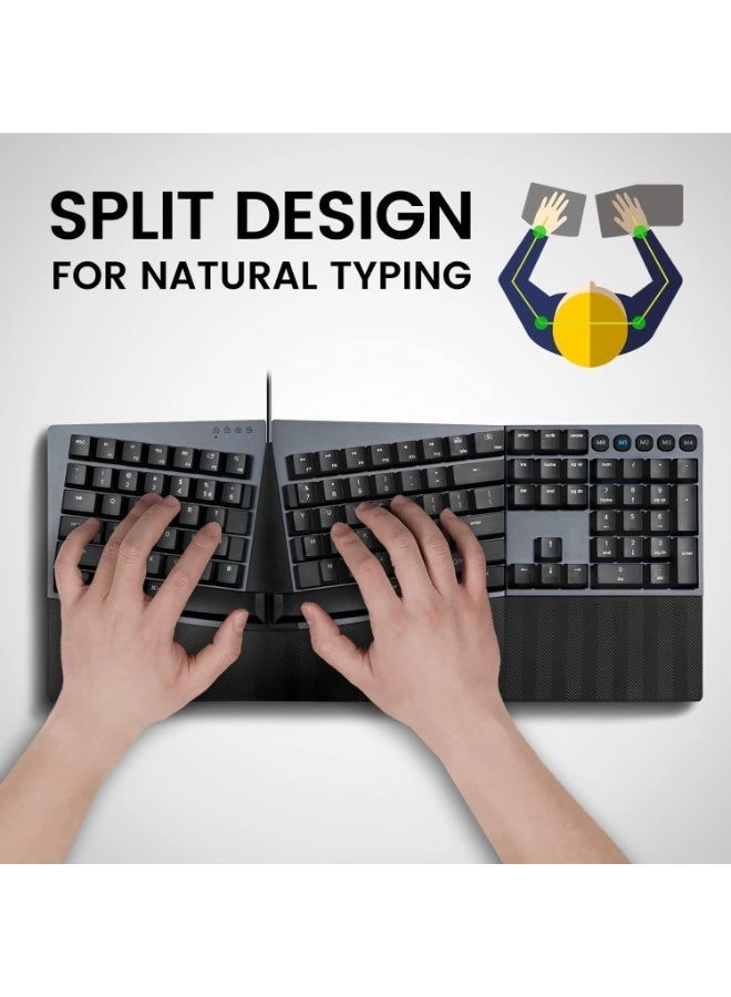 PERIBOARD-535 - US Wired