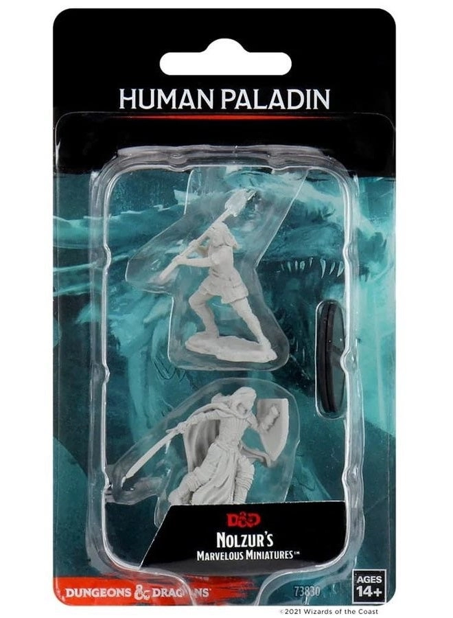 WizKids Nolzur's Marvelous Miniatures - D&D Human Female Paladin (2.54 cm) (WZK73830)
