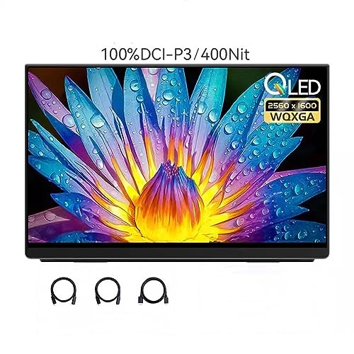 Portable Monitor - 1WLBPJ9KHMTZ 2560*1600 15.6 inches