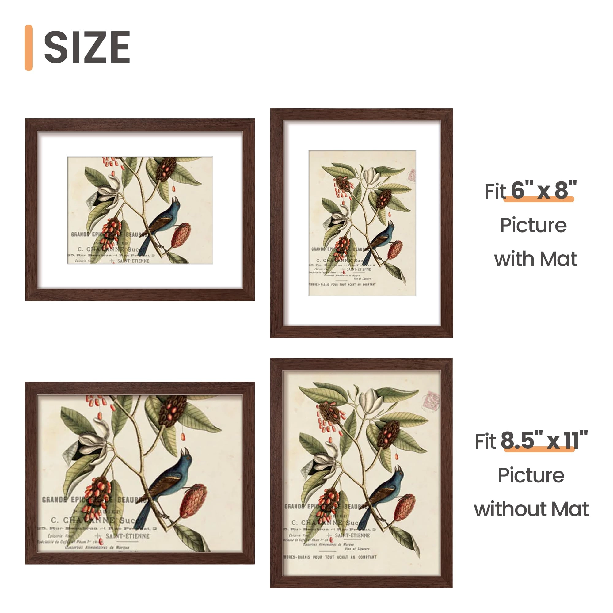 Picture Frame - 8.5x11 1 Count