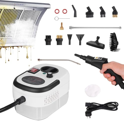 Hand Held Steam Cleaner