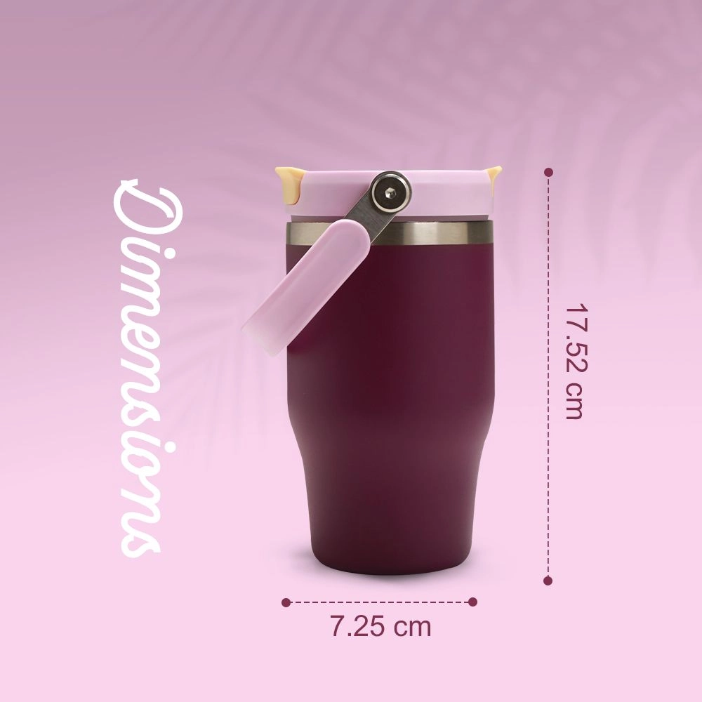 Vacuum Insulated Tumbler - 500ml