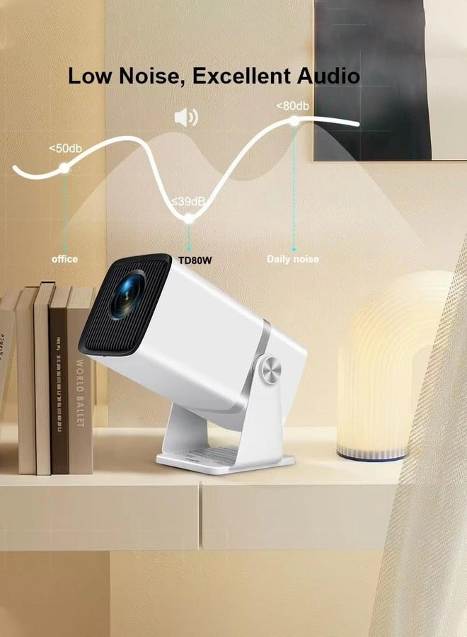 TD80 11000 Lumens 1920x1080