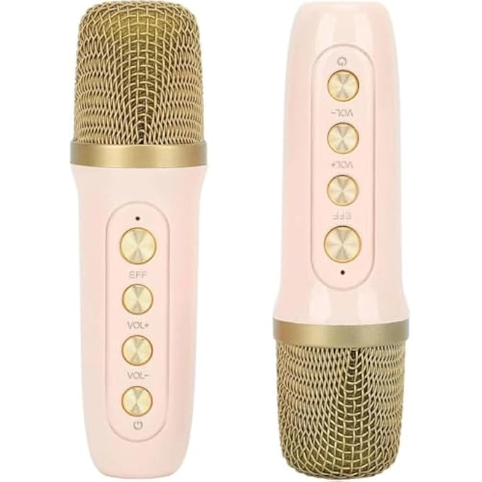 WIRELESS BLUETOOTH MICROPHONE
