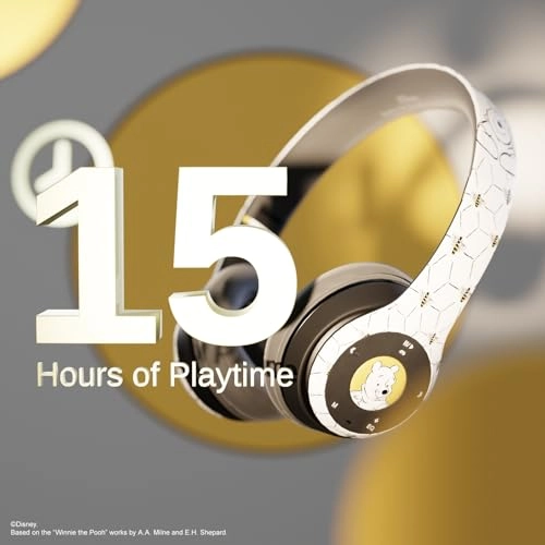 DS20308-AMZN Wireless Headphone