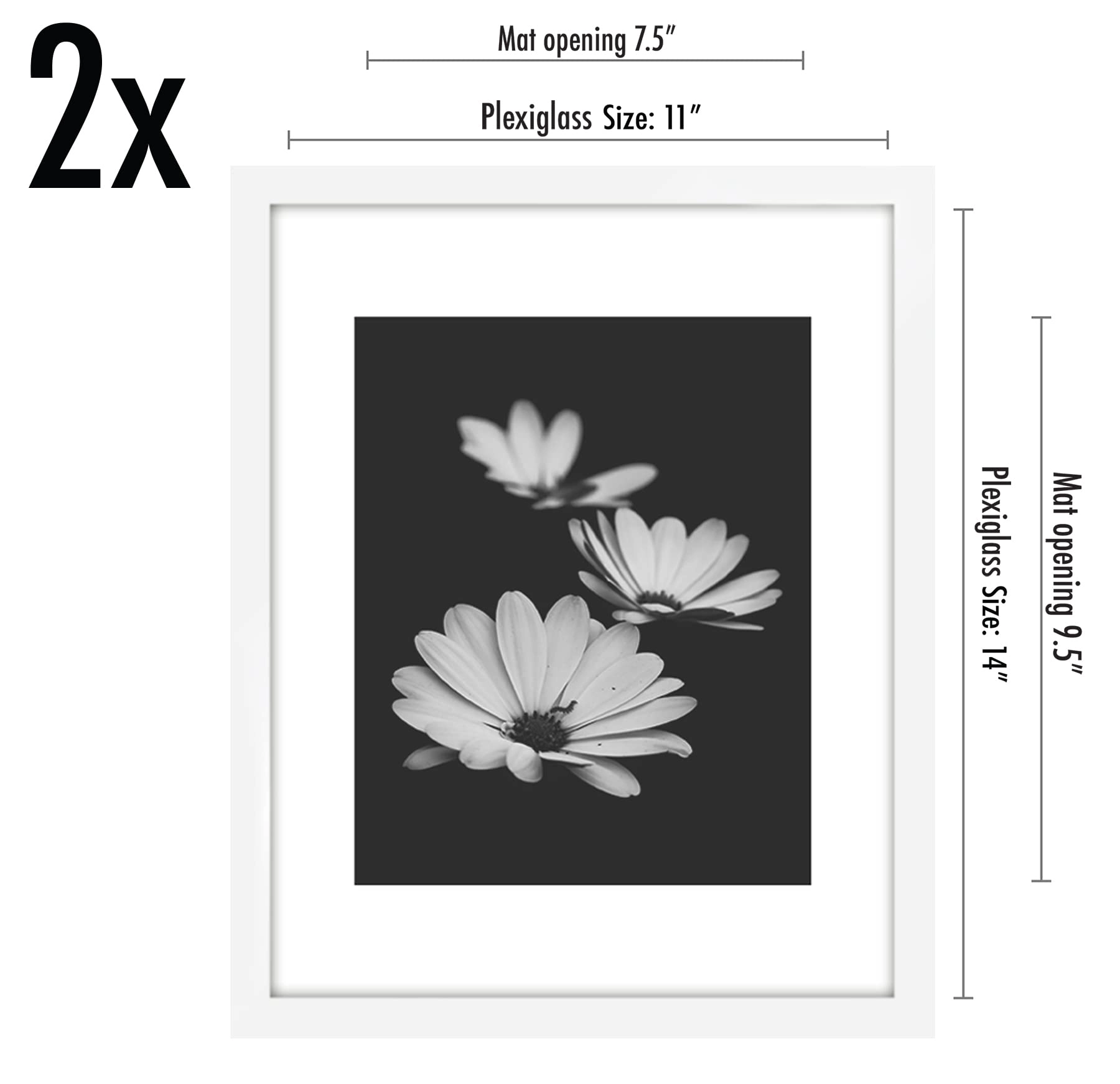 Galleria Collection - 8X10