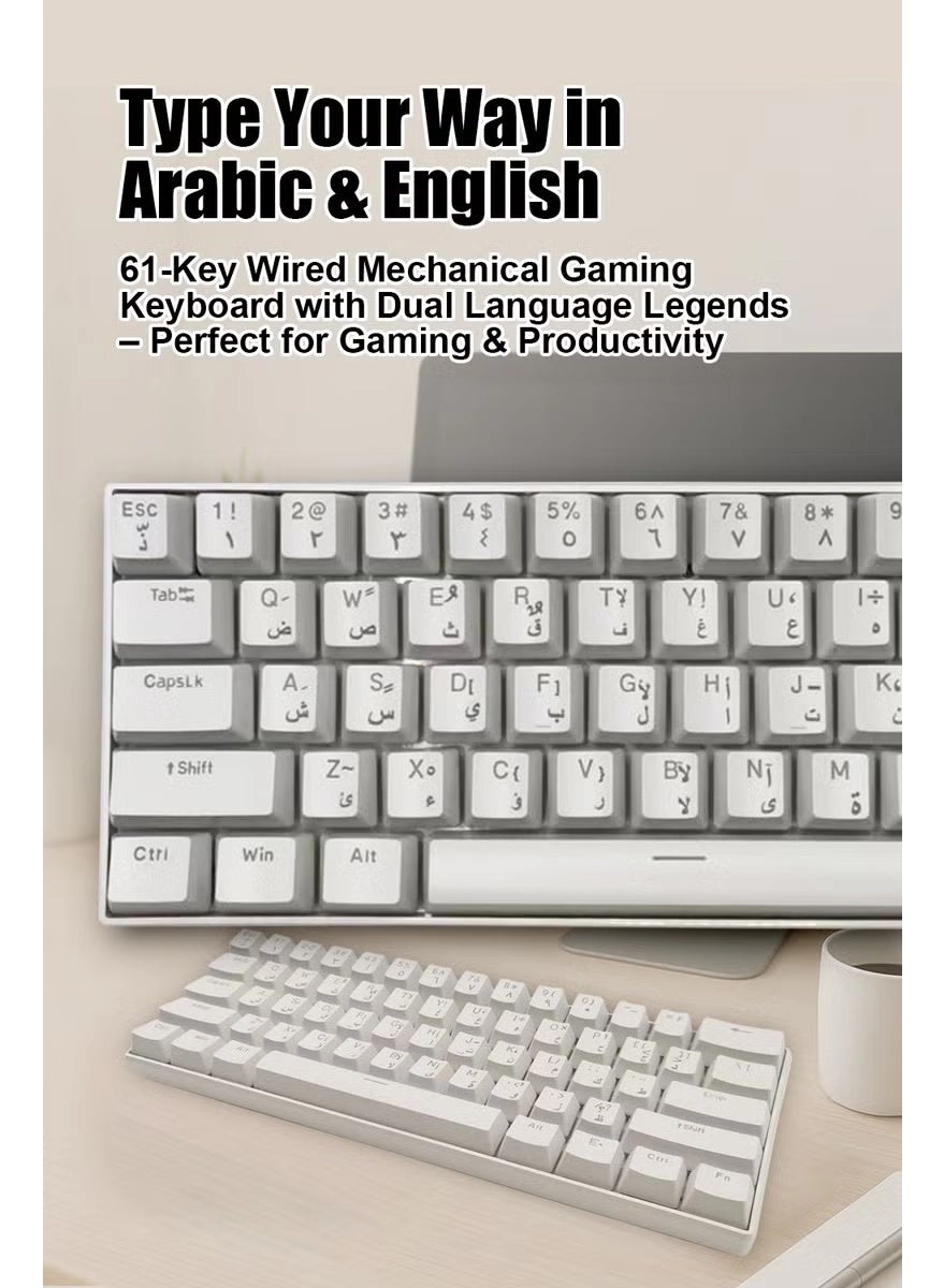 61 Keys Mechanical Gaming Keyboard - AR/EN Wired